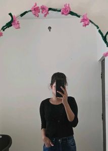 Chic Black Cropped Top