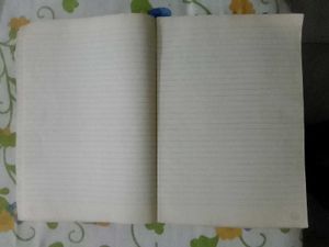 Slip Pad With 2 Notebooks