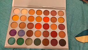 The Viyanna Palette by SHILLS Professional