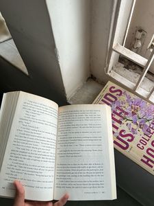 It Ends With Us series by Colleen Hoover