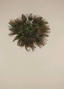 Wall Decorating Peace With Peacock Feather