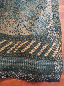 Elegant Green &amp; Silver Embroidered Saree