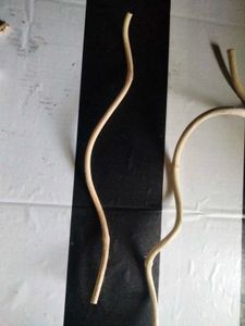 Natural Driftwood Branches and Roots