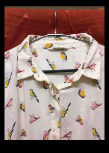 Stylish Back Shirt