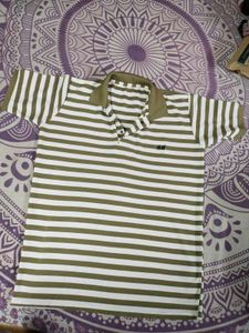 Men's Striped Polo T-Shirt
