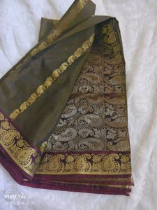 Elegant Olive Green Saree with Gold Border