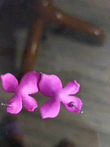 Earings