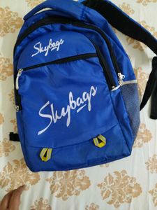 Blue Skybags Backpack