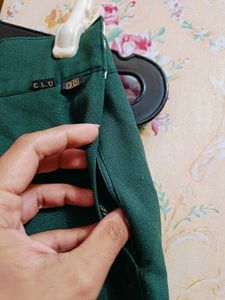 Green Pleated Skirt