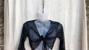 Sparkly Sheer Mesh Tie-Front Top