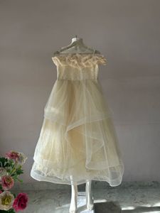 Girls Champagne gold Layered Tulle Gown