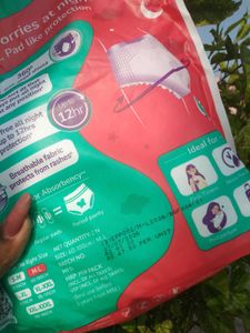 Evereve Overnight Period Panties