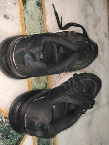 unisex Sparx Running Shoes