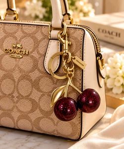 Coach keychain