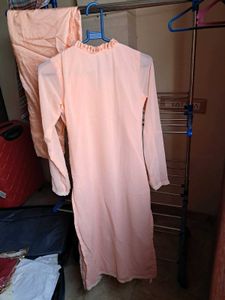 Elegant Peach Embroidered ₹350