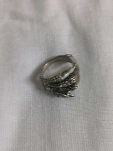 Unique Dragon Claw Ring
