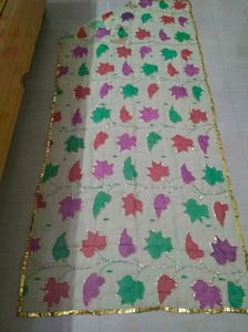 chata pati sequence work dupatta