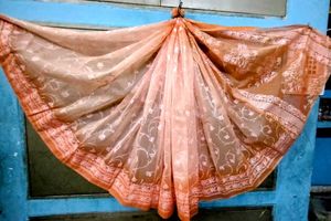 Peach Floral Organza Saree