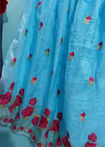 Beautiful Blue Embroidered Skirt