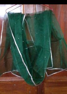 Green Net Dupatta