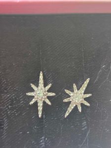 Sparkling Star Earrings SS925