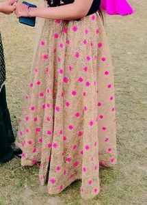 Elegant Embroidered Lehenga Choli