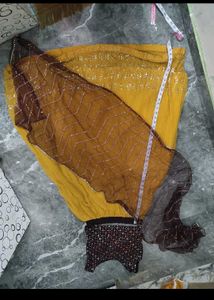 Designer Lehenga Choli Set