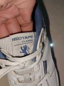 Men's White &amp; Blue Sneakers