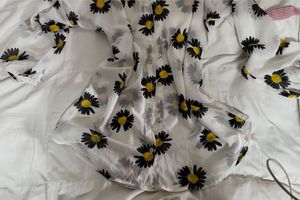 Sheer Daisy Print Button-Up Shirt