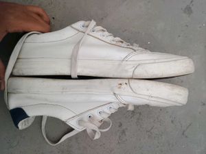 Tommy Hilfiger White Sneakers dupe
