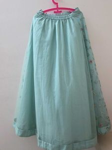 Beautiful Sky Blue Embroidered Skirt