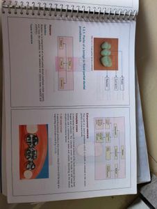 COMBO Preclinical Prosthodontics + Conservative