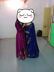 Heavy Zardozari N Stone Work Gown