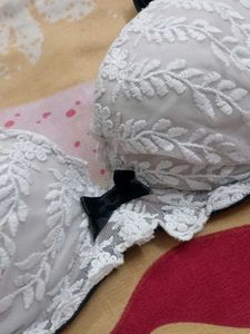 Embroidered Lace Bra