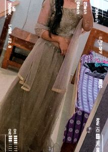 Beautiful Grey Lahanga