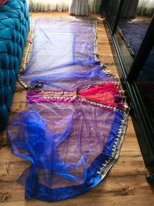 Stunning handwork Net lehanga Saree