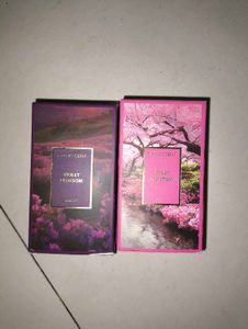 Brit Accent perfume