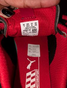 PUMA Ferrari Rdg Cat Lace-Up MOTORSPORT Shoes