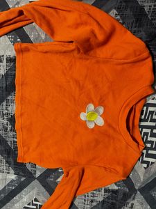 Beautiful Orange Top