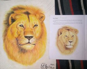 Lion Drawing