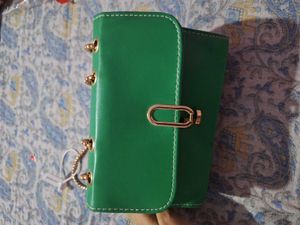 savana Green Chain Shoulder Bag