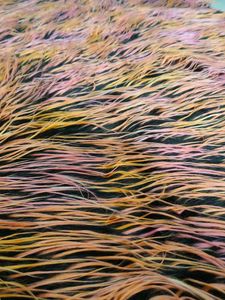 Unique Shaggy Rug - Pink Orange Hues