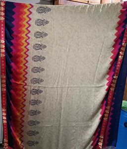 Beige Saree with Colorful Border