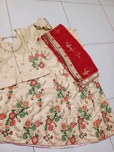 Elegant Embroidered Lehenga Choli Set