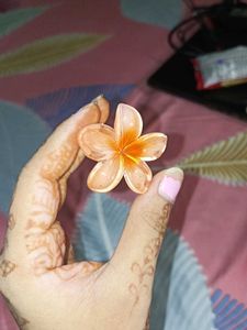 Beautiful Flower Hair Clip