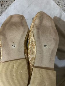 Elegant Ethnic Jutti Shoes