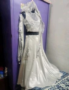Silver Lehenga Choli Set