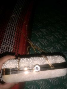 Elegant Beaded Clutch Purse