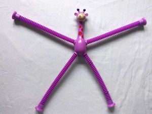 Fidget Pipe Giraffe Toy