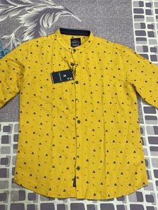 Combo Of Three Status Quo Branded Boy Shirt